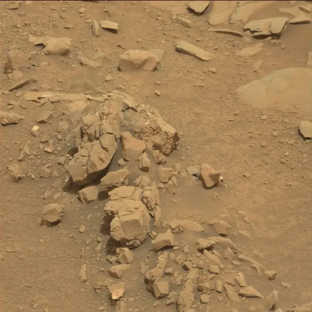 Sol 130: Mast Camera (Mastcam)