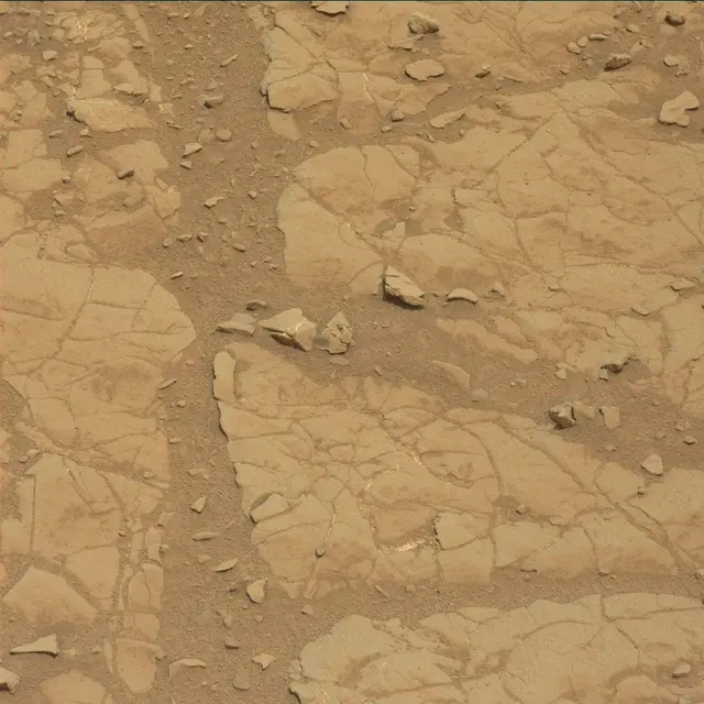 Sol 131: Mast Camera (Mastcam)