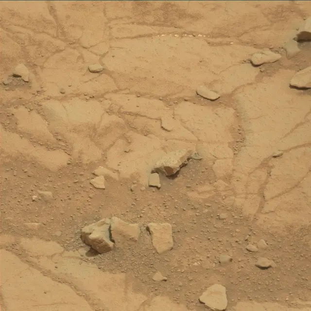 Sol 131: Mast Camera (Mastcam)