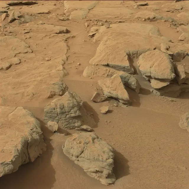 Sol 132: Mast Camera (Mastcam)