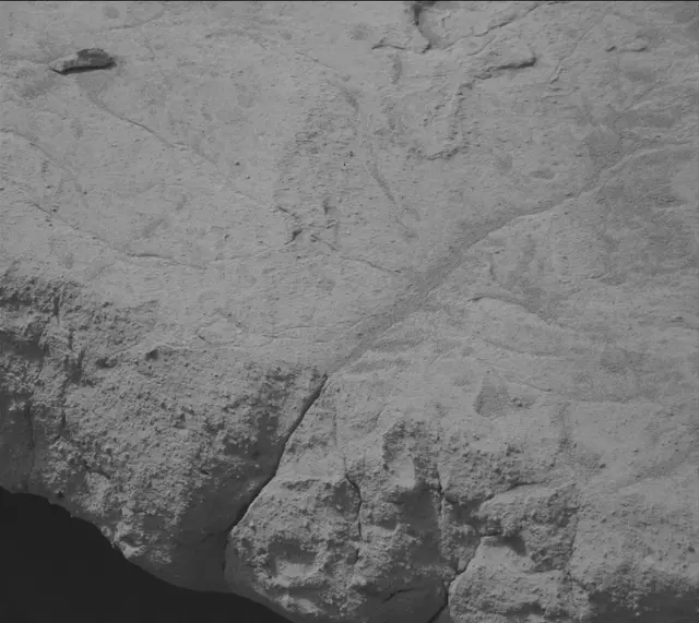 Sol 132: Mast Camera (Mastcam)