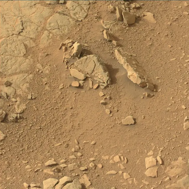 Sol 133: Mast Camera (Mastcam)