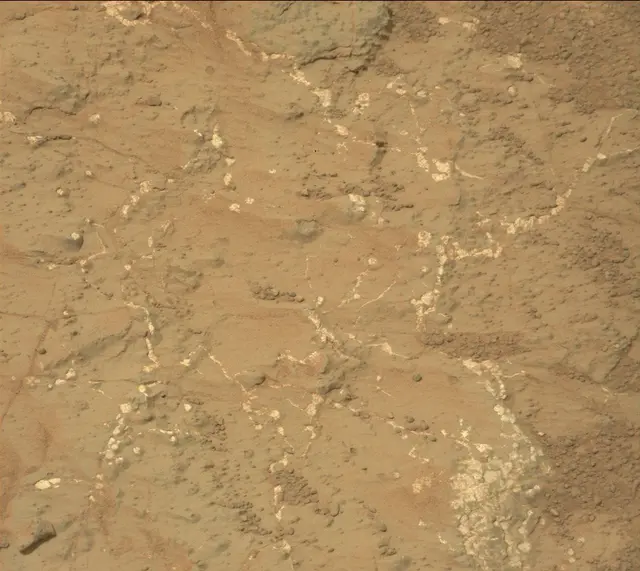 Sol 133: Mast Camera (Mastcam)