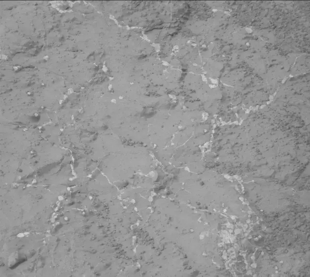 Sol 133: Mast Camera (Mastcam)
