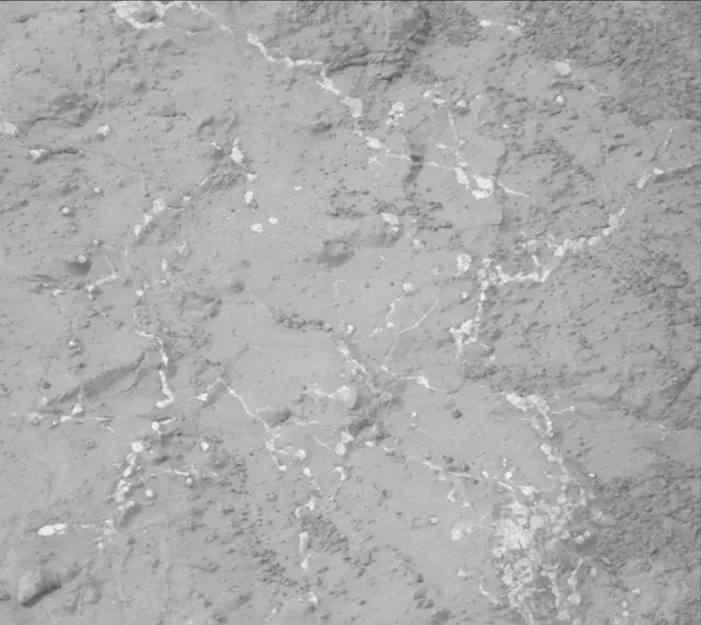 Sol 133: Mast Camera (Mastcam)