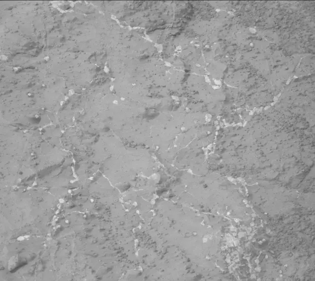 Sol 133: Mast Camera (Mastcam)