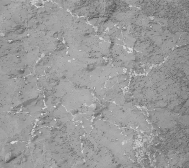 Sol 133: Mast Camera (Mastcam)