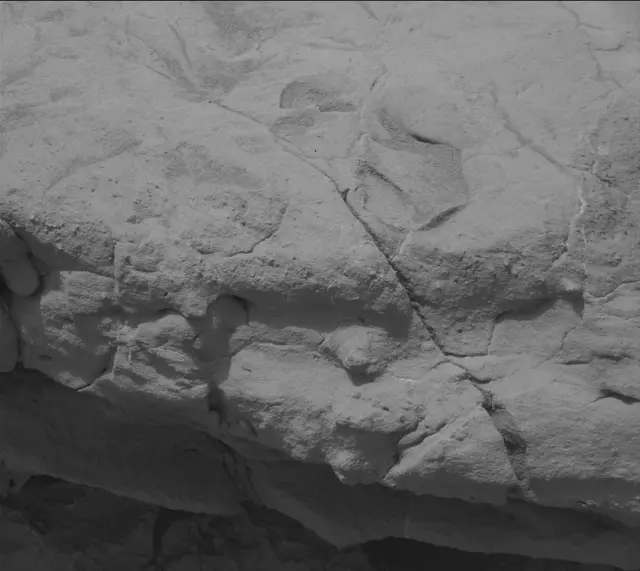 Sol 133: Mast Camera (Mastcam)