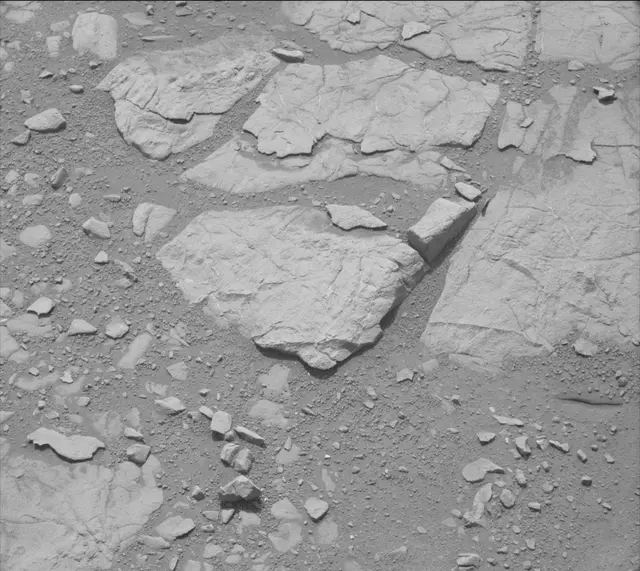 Sol 135: Mast Camera (Mastcam)