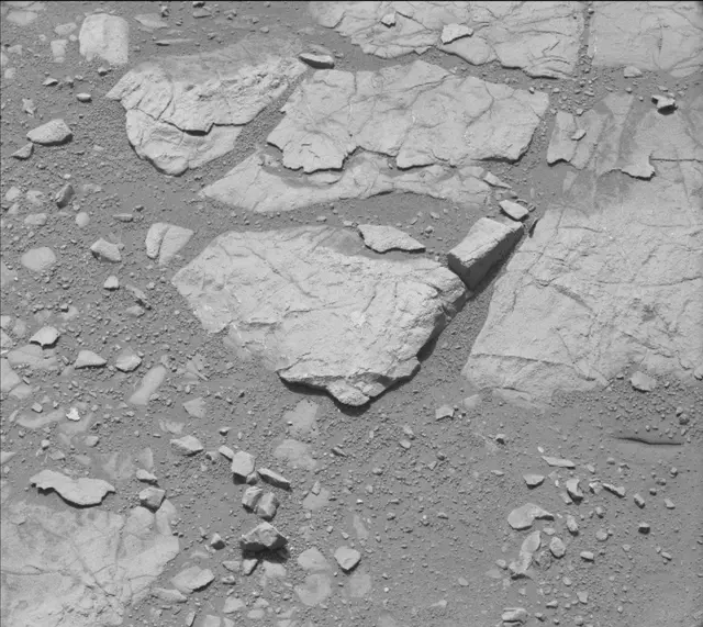 Sol 135: Mast Camera (Mastcam)