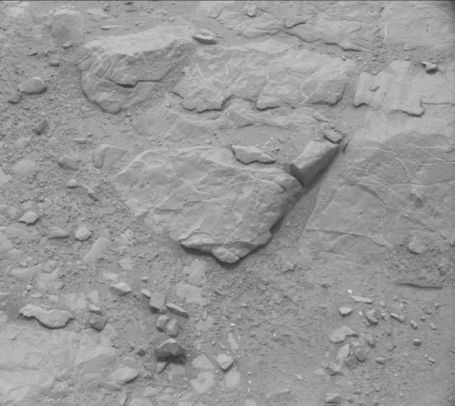 Sol 135: Mast Camera (Mastcam)