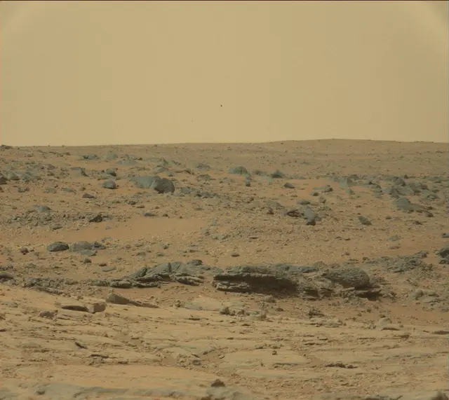 Sol 136: Mast Camera (Mastcam)