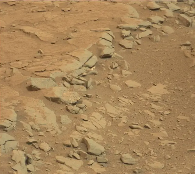 Sol 136: Mast Camera (Mastcam)