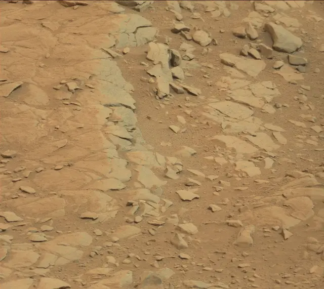 Sol 136: Mast Camera (Mastcam)