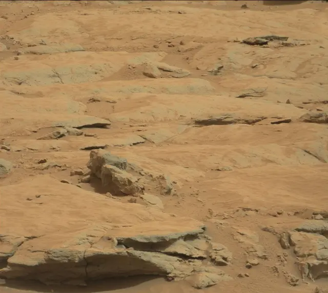 Sol 136: Mast Camera (Mastcam)