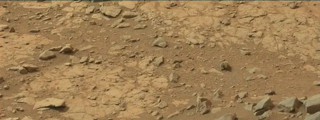 Sol 137: Mast Camera (Mastcam)