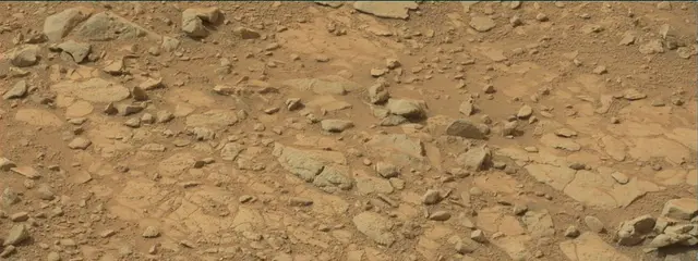 Sol 137: Mast Camera (Mastcam)