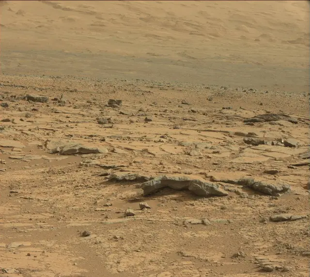 Sol 137: Mast Camera (Mastcam)