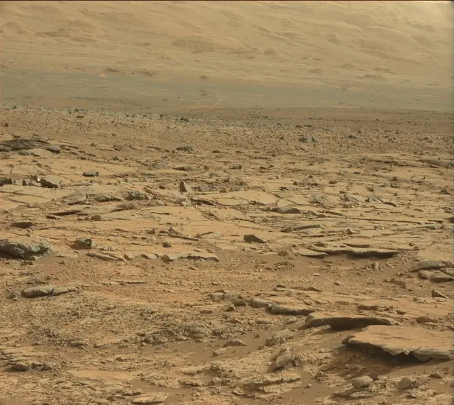 Sol 137: Mast Camera (Mastcam)