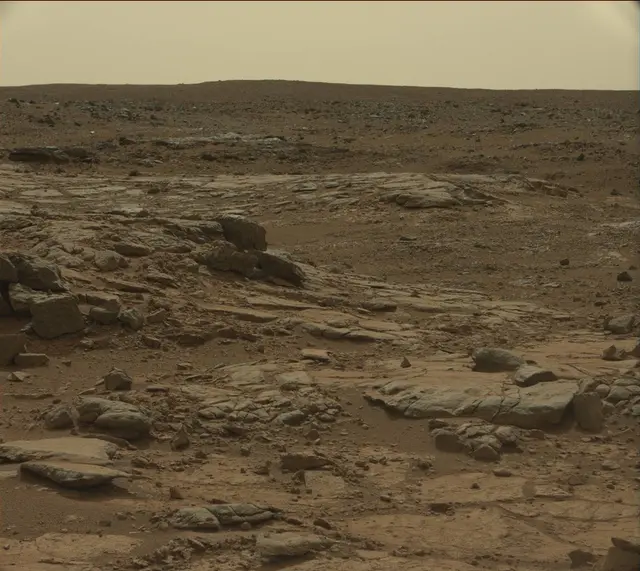 Sol 137: Mast Camera (Mastcam)