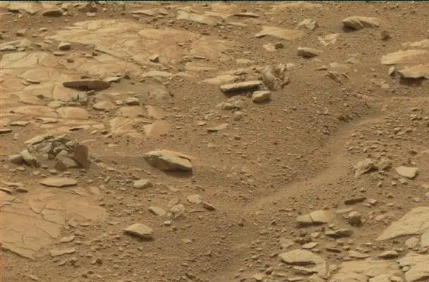 Sol 137: Mast Camera (Mastcam)