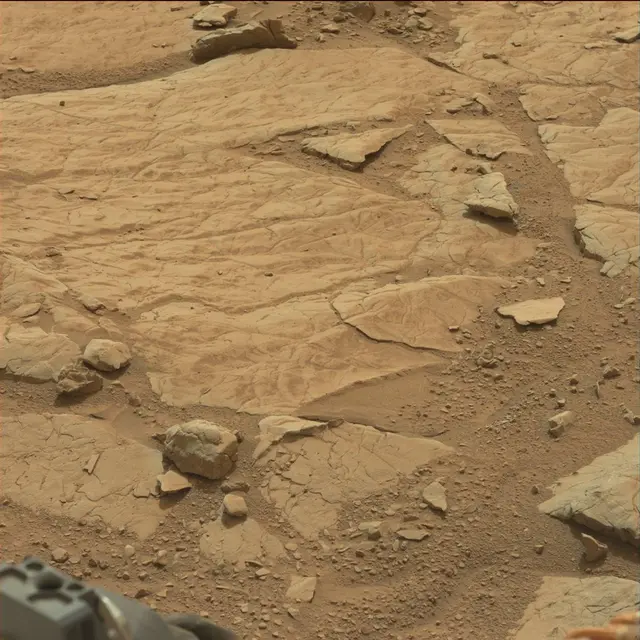 Sol 137: Mast Camera (Mastcam)