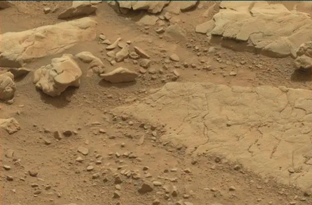Sol 137: Mast Camera (Mastcam)