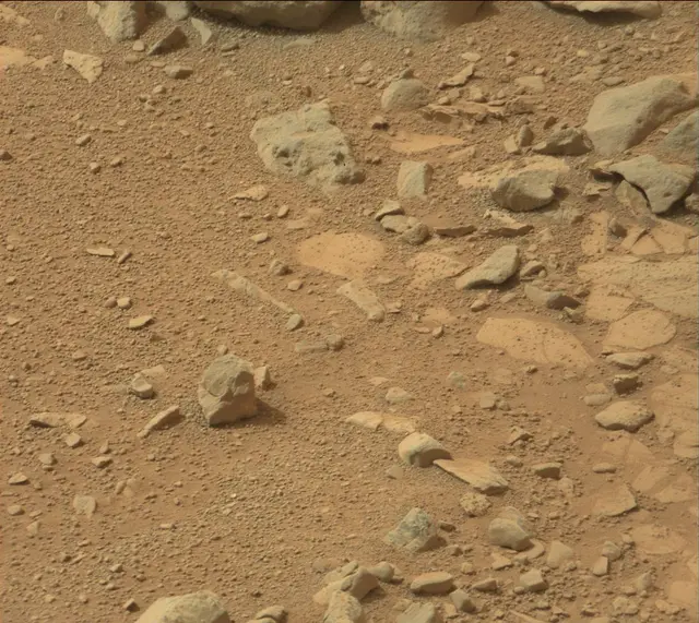 Sol 137: Mast Camera (Mastcam)