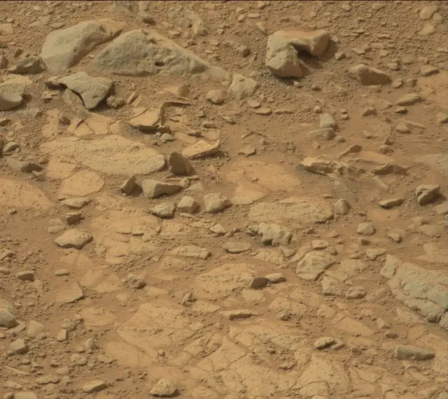 Sol 137: Mast Camera (Mastcam)