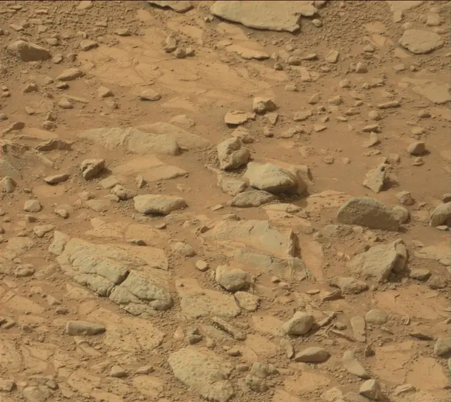 Sol 137: Mast Camera (Mastcam)