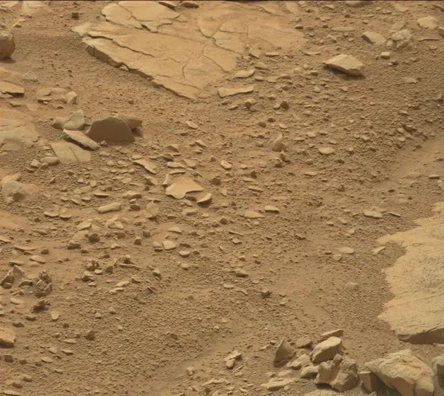 Sol 137: Mast Camera (Mastcam)