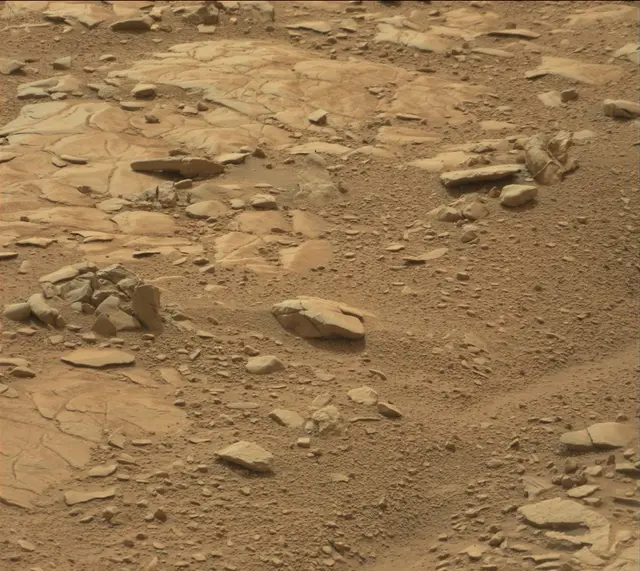Sol 137: Mast Camera (Mastcam)