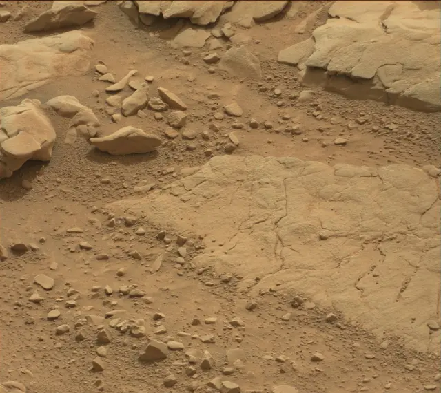 Sol 137: Mast Camera (Mastcam)
