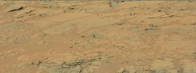 Sol 141: Mast Camera (Mastcam)