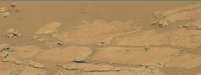 Sol 141: Mast Camera (Mastcam)