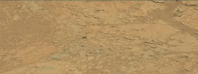 Sol 141: Mast Camera (Mastcam)