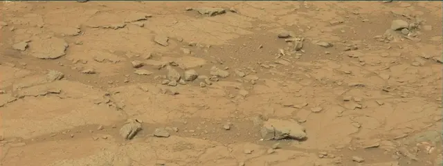Sol 141: Mast Camera (Mastcam)