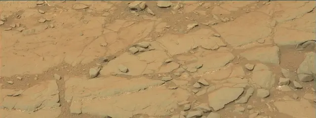 Sol 141: Mast Camera (Mastcam)