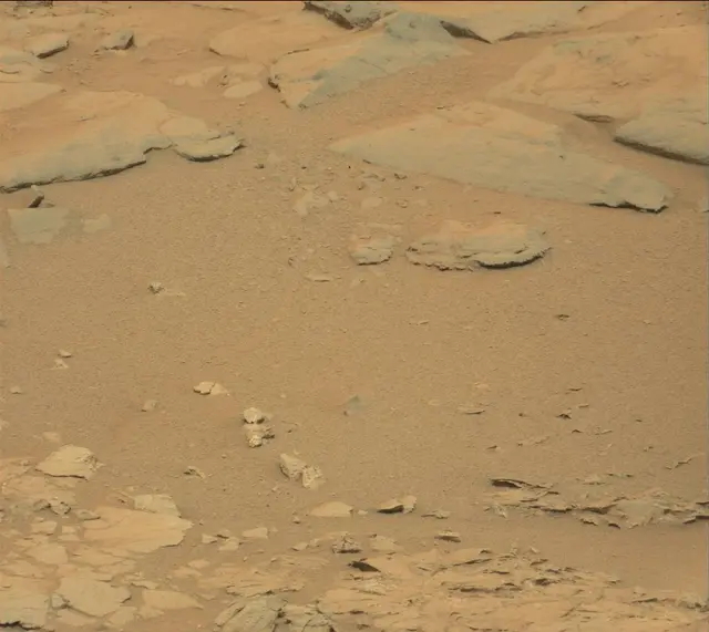 Sol 141: Mast Camera (Mastcam)