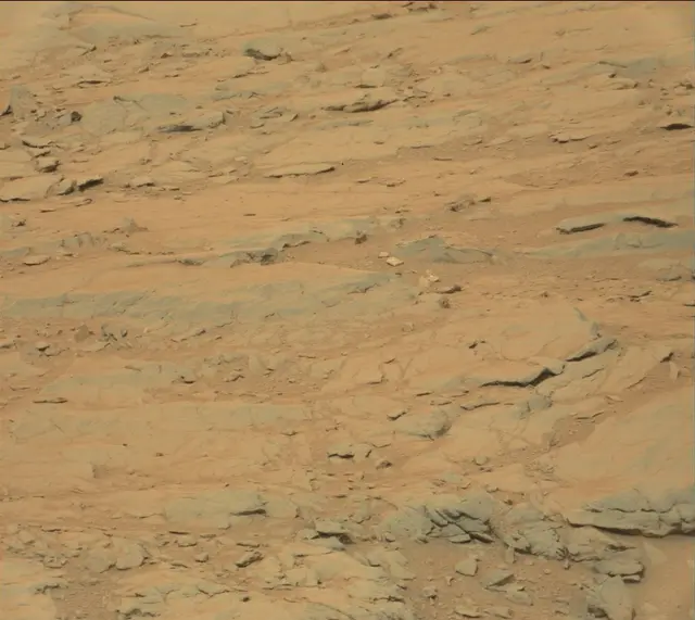 Sol 141: Mast Camera (Mastcam)
