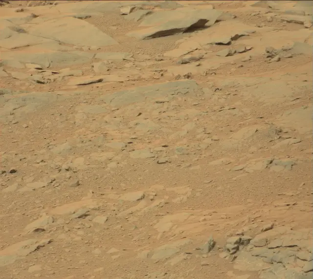 Sol 141: Mast Camera (Mastcam)