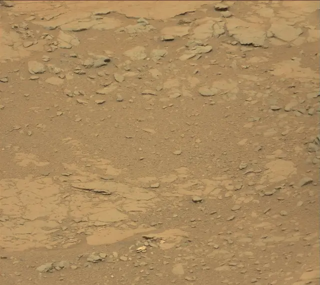 Sol 141: Mast Camera (Mastcam)