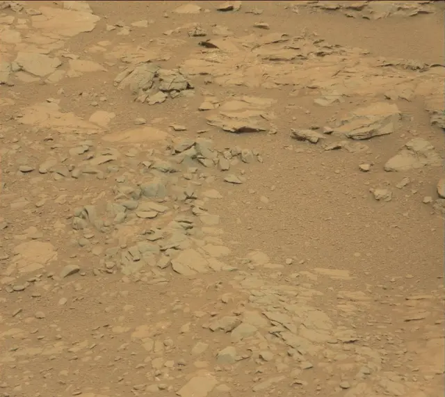 Sol 141: Mast Camera (Mastcam)