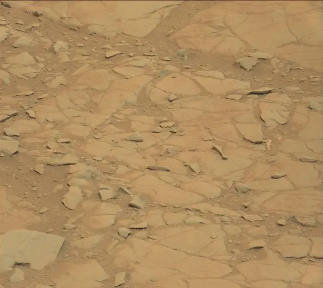 Sol 141: Mast Camera (Mastcam)
