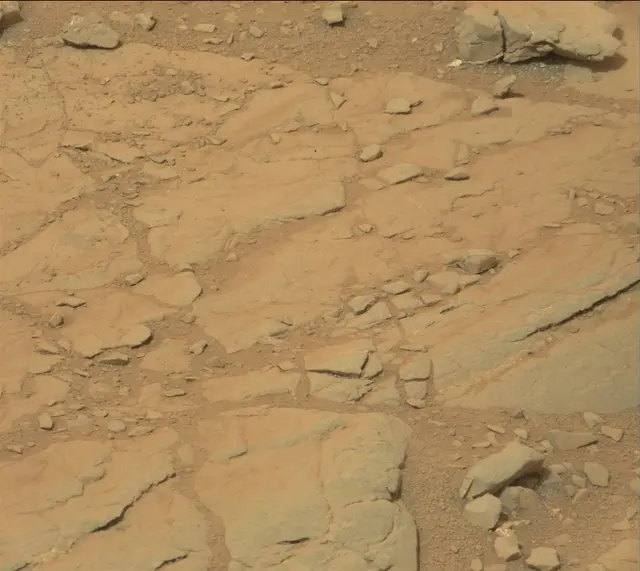 Sol 141: Mast Camera (Mastcam)