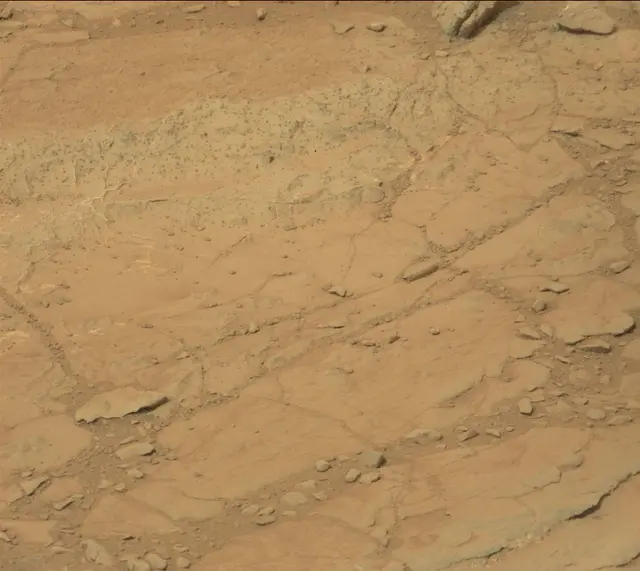 Sol 141: Mast Camera (Mastcam)