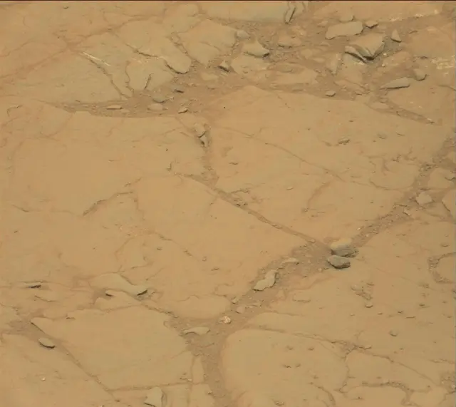 Sol 141: Mast Camera (Mastcam)