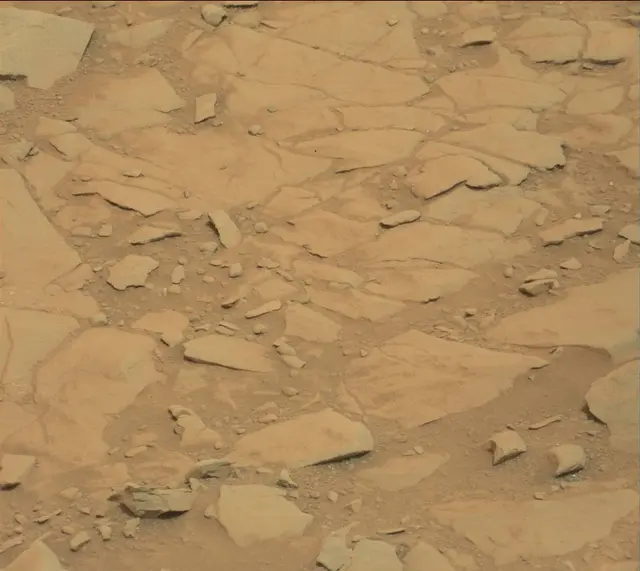 Sol 141: Mast Camera (Mastcam)