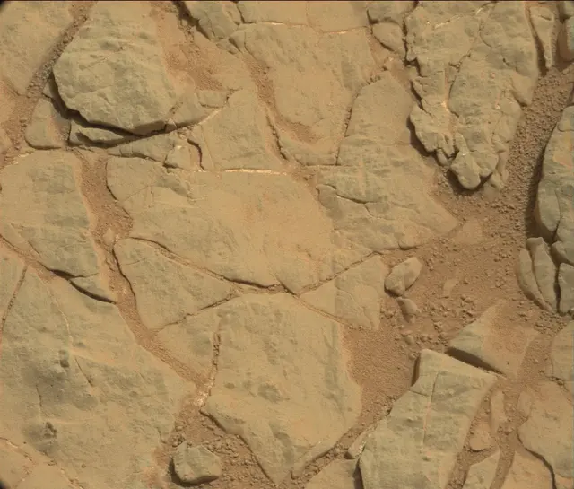 Sol 153: Mast Camera (Mastcam)
