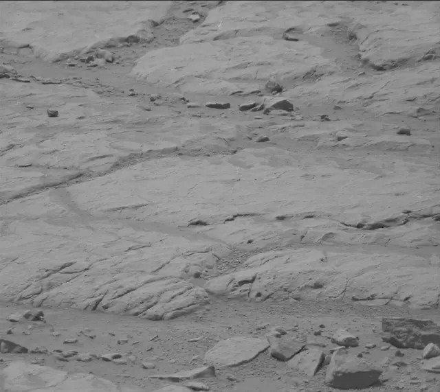 Sol 155: Mast Camera (Mastcam)